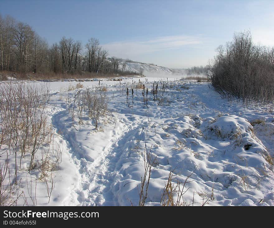 Winter landscape