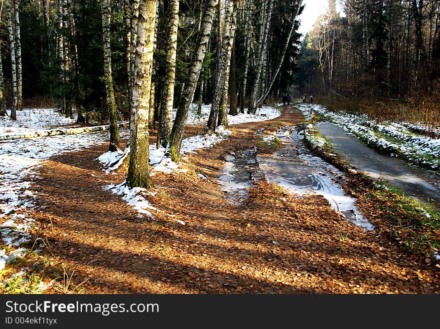 Walk on distant lake on wood road.