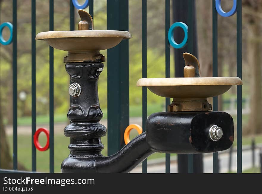 Public drinking fountain at a local park. Main stem is in focus and lower stem, slighty out of focus. Public drinking fountain at a local park. Main stem is in focus and lower stem, slighty out of focus.