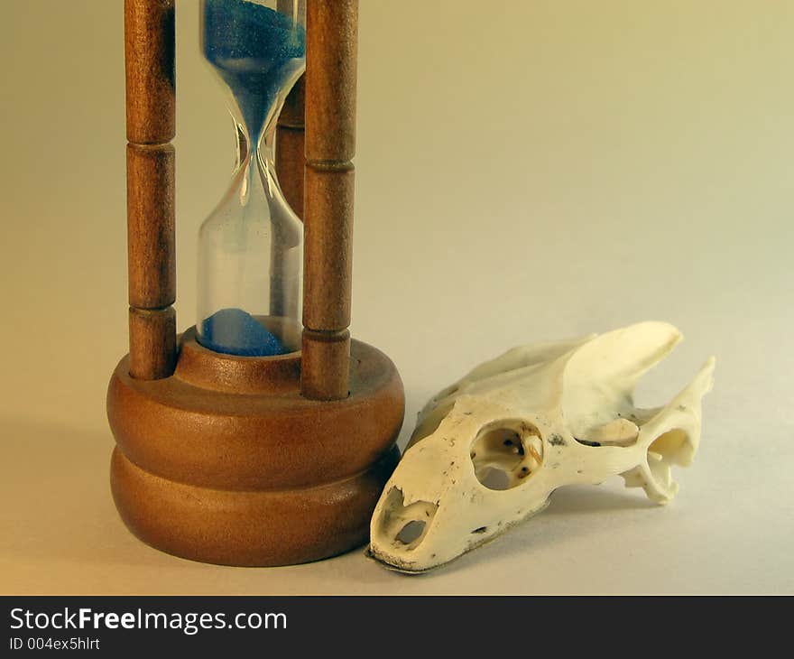 Still life with sand-glass and tortoise skull. Still life with sand-glass and tortoise skull