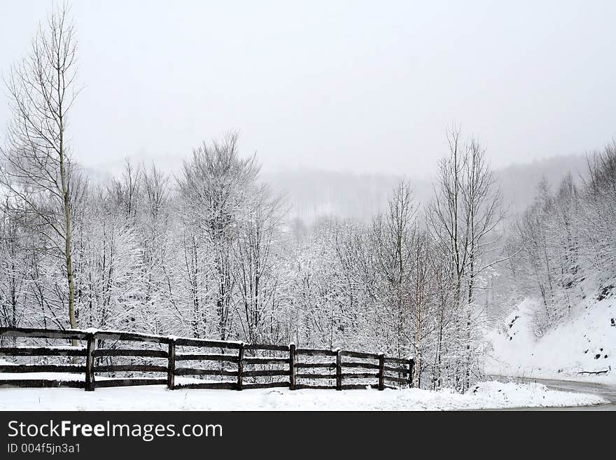 Snow landscape. Snow landscape