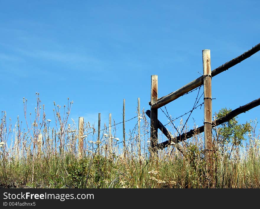 A fence and meadow. A fence and meadow