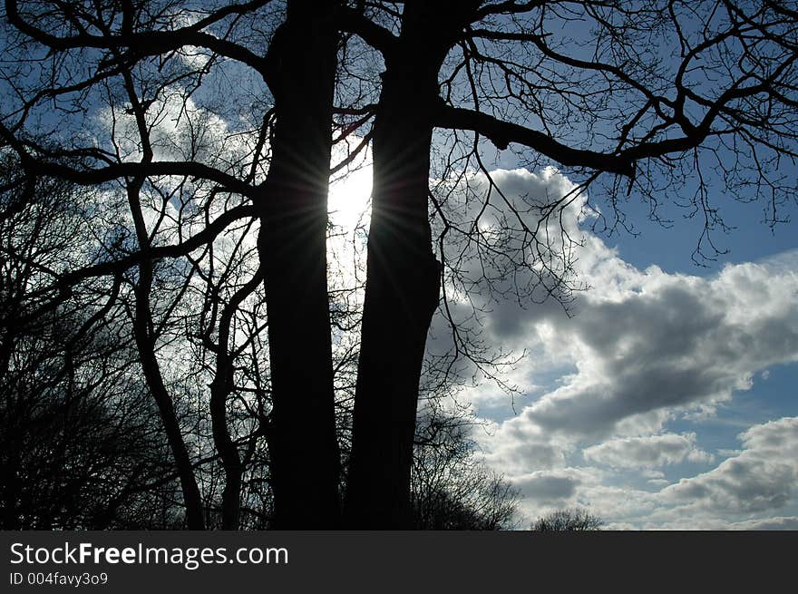 Tree silhouette against blue sky and clouds. Tree silhouette against blue sky and clouds