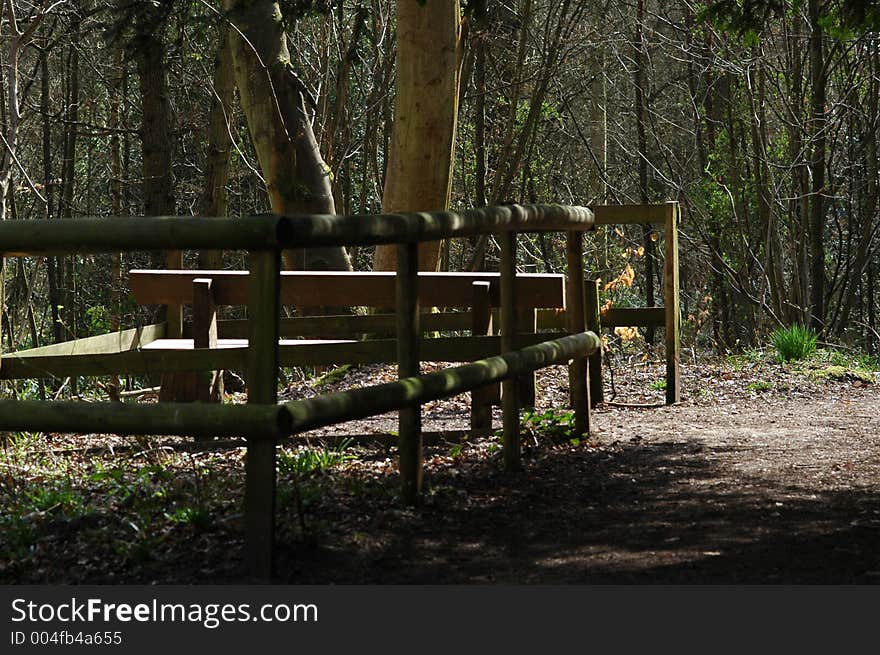 Forest wildlife public viewing area. Forest wildlife public viewing area