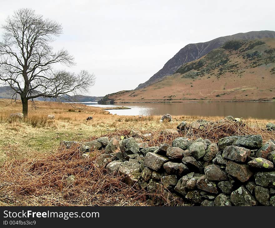 Lakeland Landscape