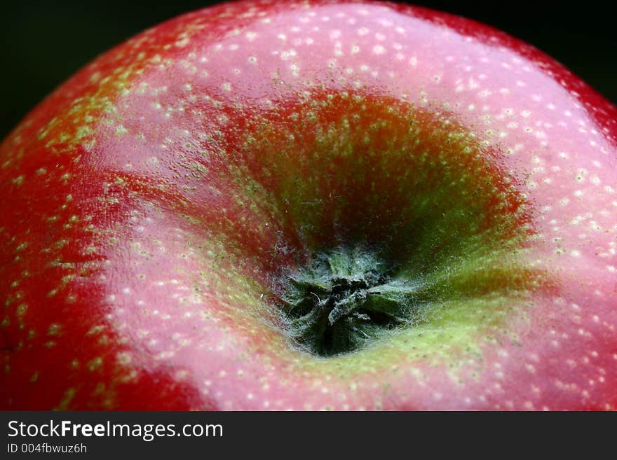 Detail of a bright red apple with focus on the flower and on the fruit's fine texture. Detail of a bright red apple with focus on the flower and on the fruit's fine texture