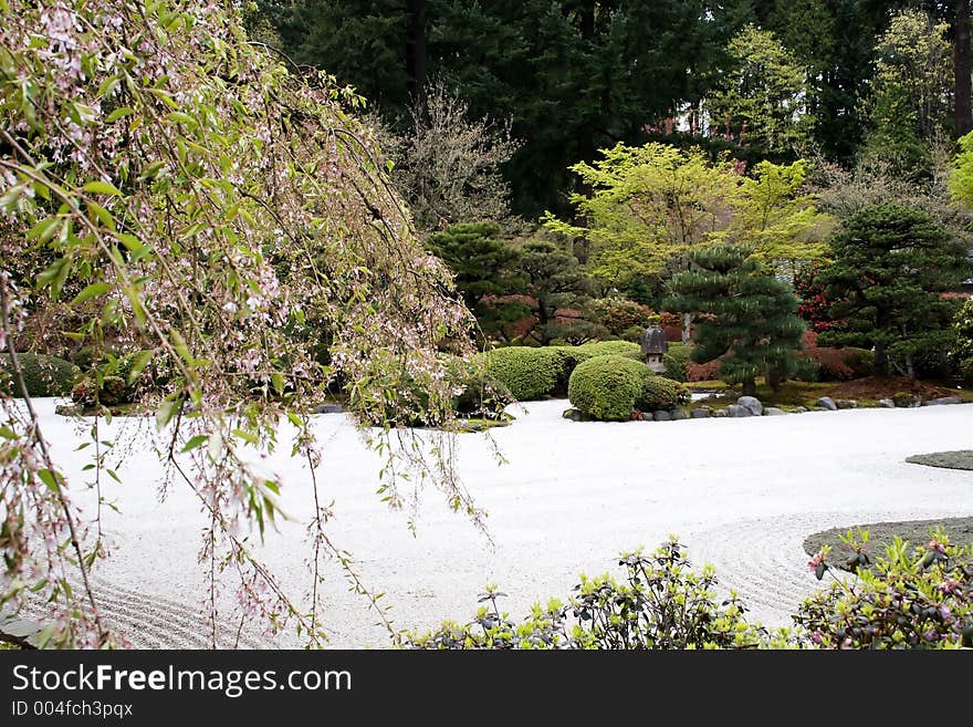 Japanese garden in early spring