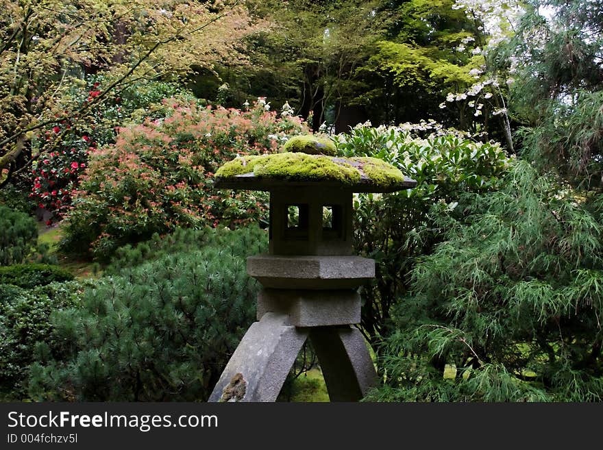 Japanese garden in early spring