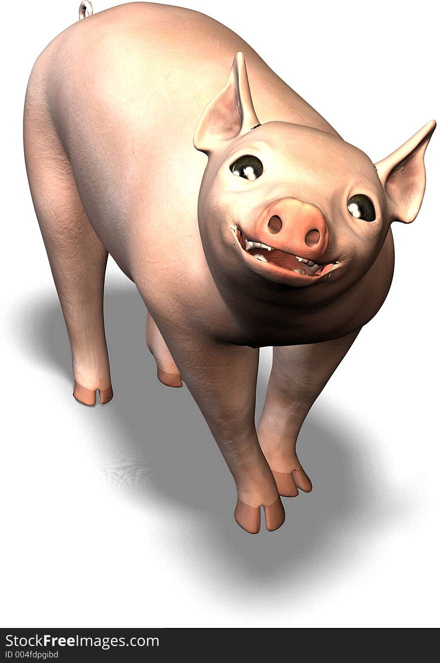 A friendly looking pig. A friendly looking pig