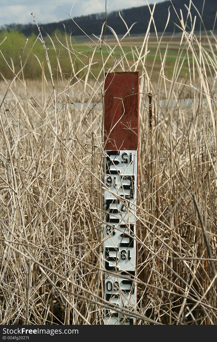 Water level metering gauge in a reed field