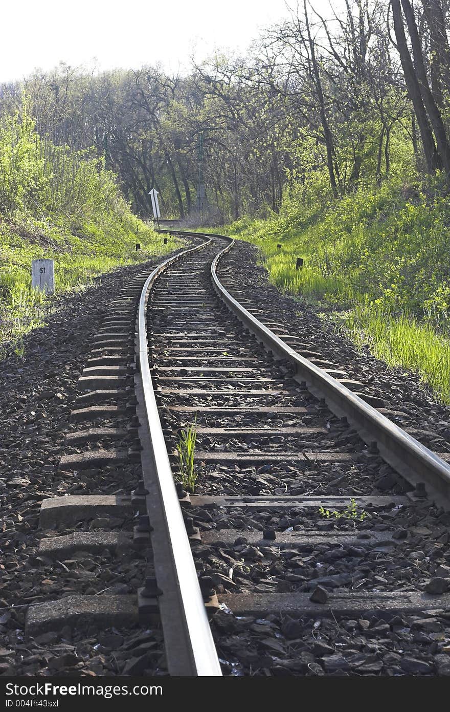 Part of the rail in the forest