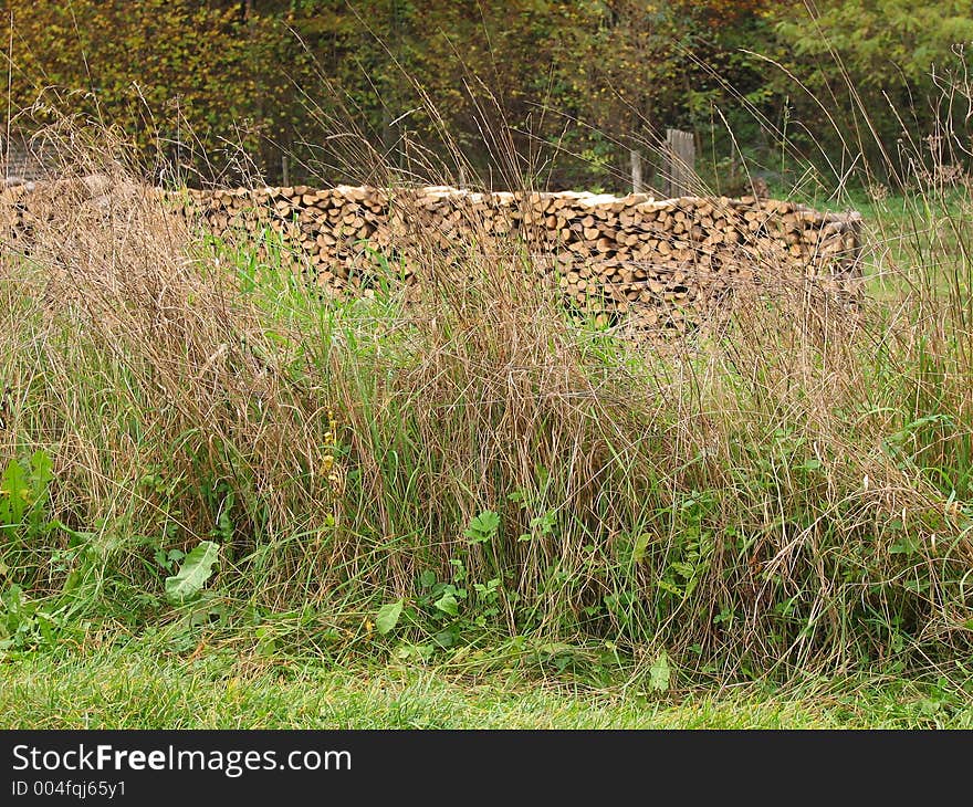 Pile of firewood