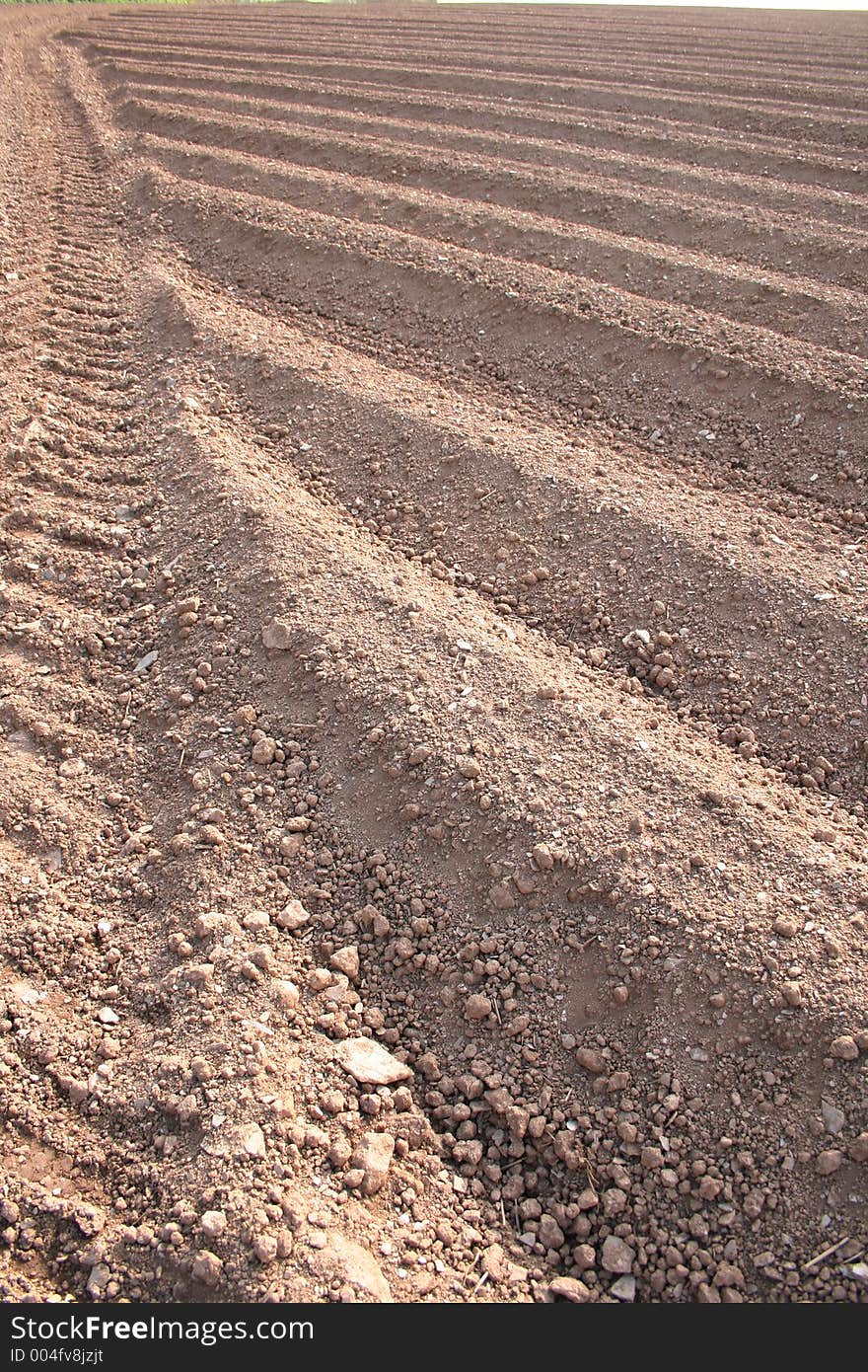 Ploughed Field Furrows