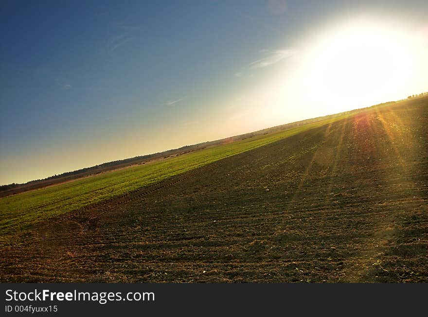 Field from different point of view...