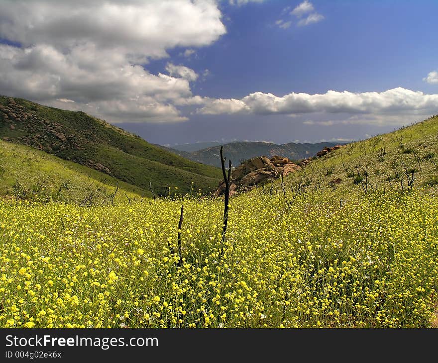 Clouds And Yellow Valley