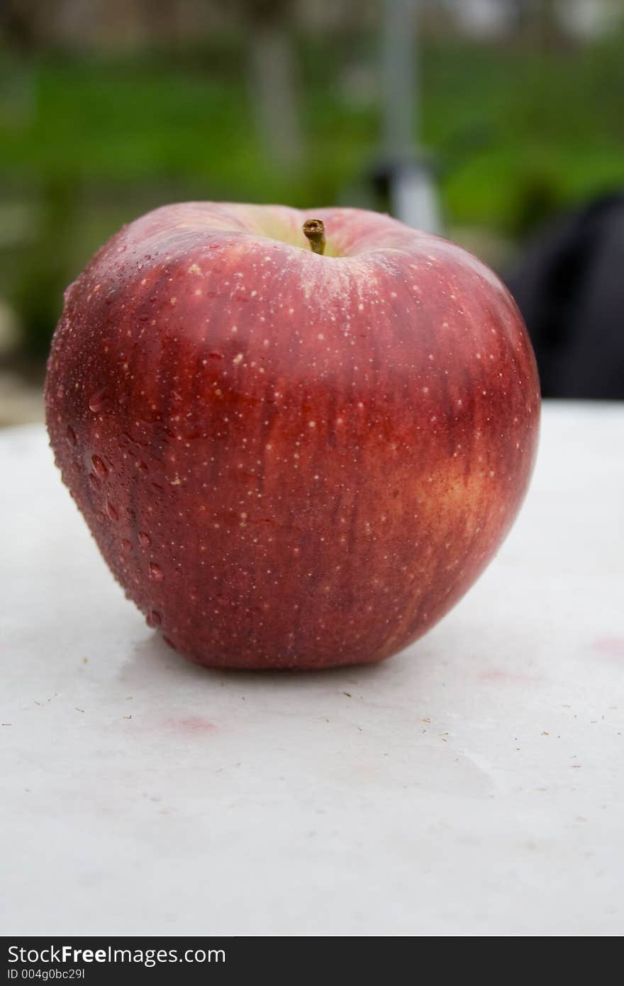 Red apple on a green and white background