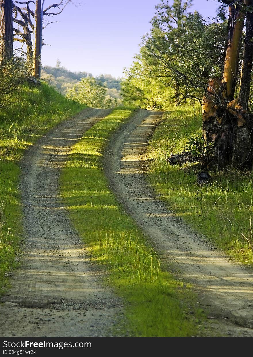 Country Dirt Road