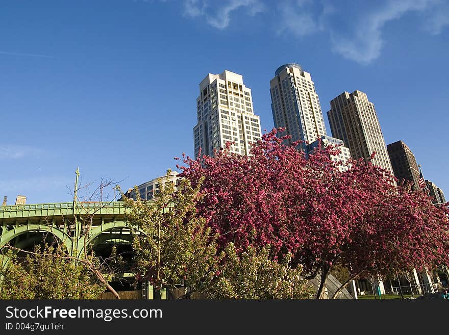 Residential buildings, highway, park in blossom - New York. Residential buildings, highway, park in blossom - New York