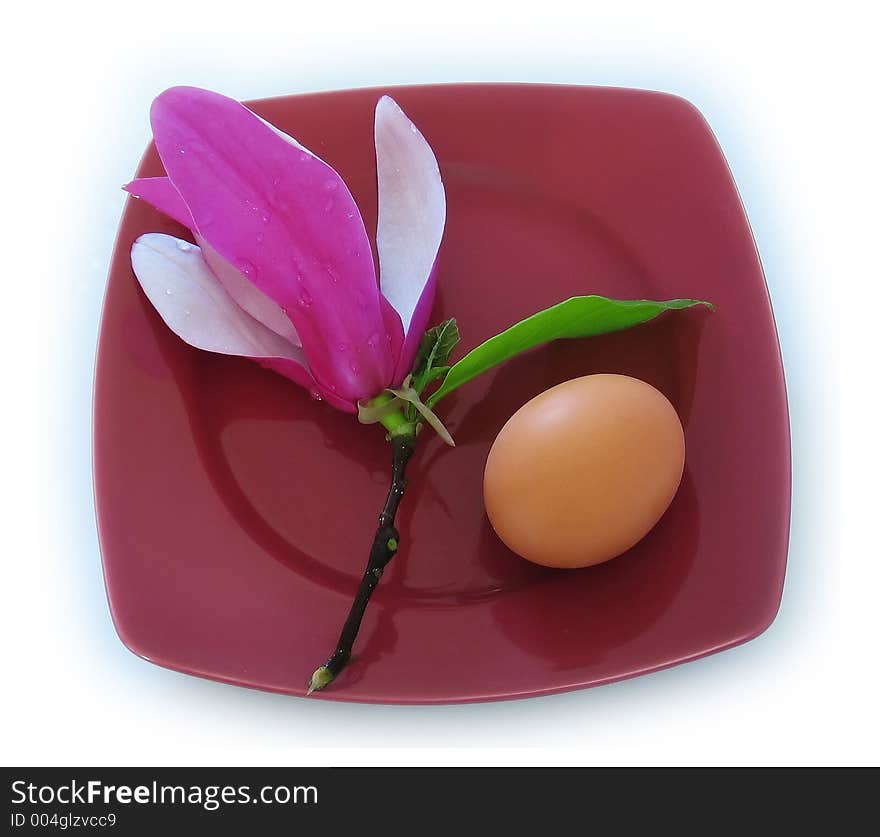 Magnolia flower and egg on a plate. Magnolia flower and egg on a plate