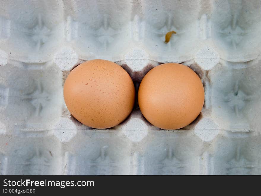 A pair of brown chicken eggs in egg tray. A pair of brown chicken eggs in egg tray