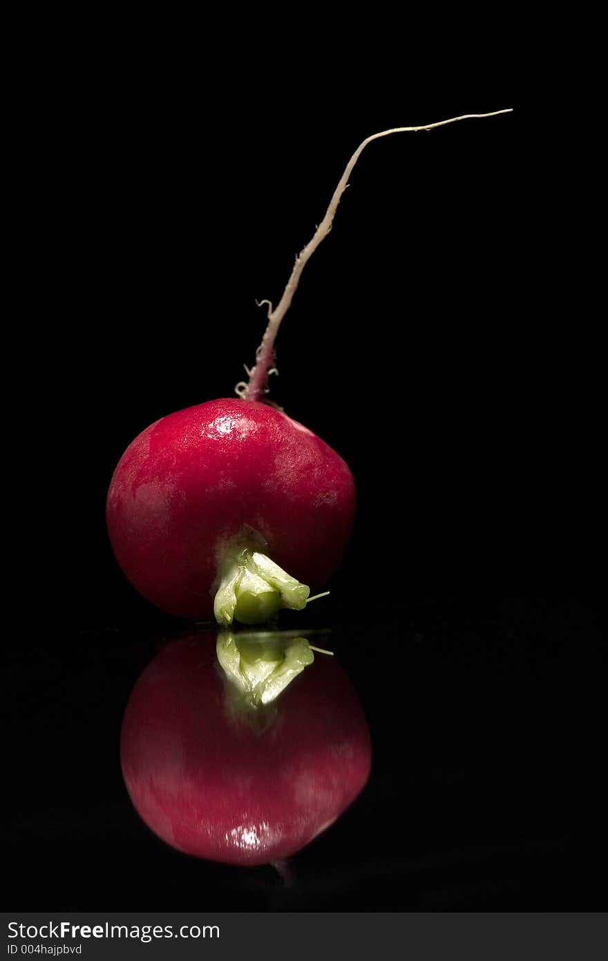 Red radish with reflex on black background