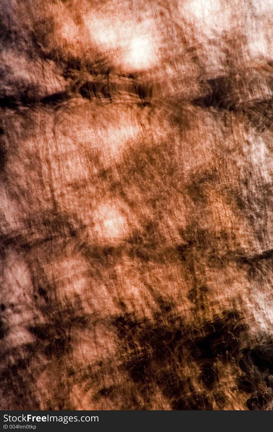 Abstract image - Tree Texture. Abstract image - Tree Texture