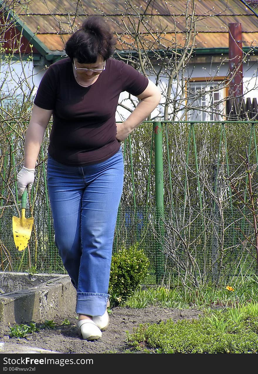 Spring cleaning in the garden. Spring cleaning in the garden