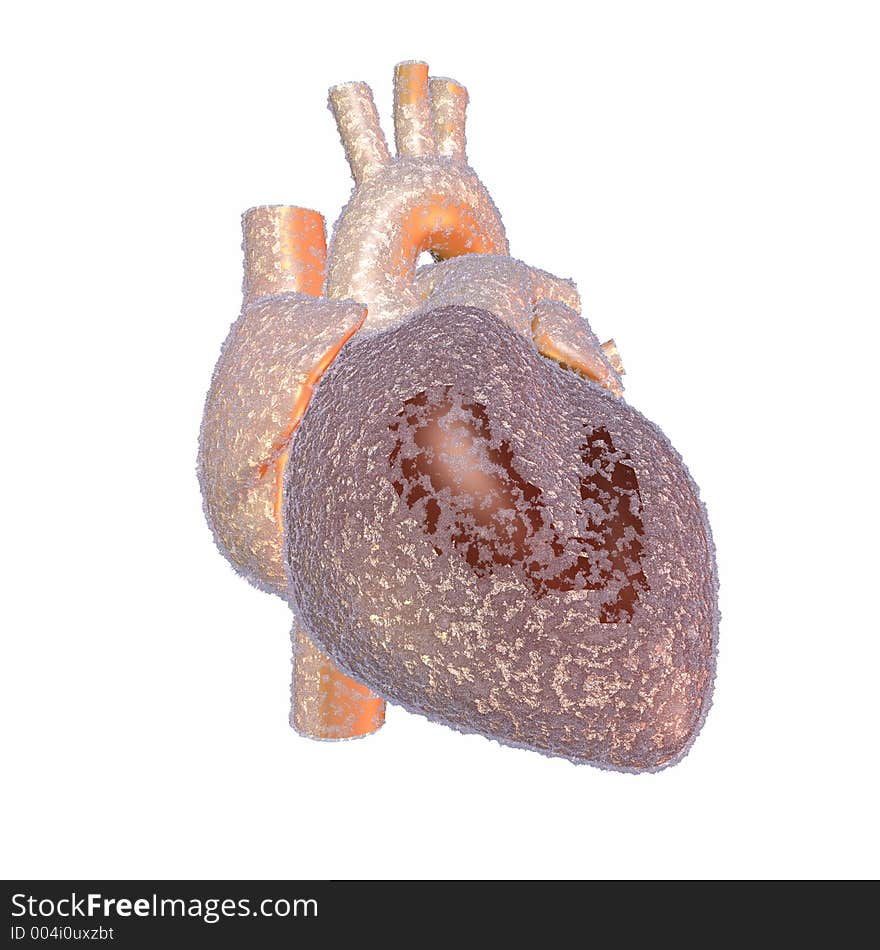 Human heart frozen over with ice and frost. Human heart frozen over with ice and frost