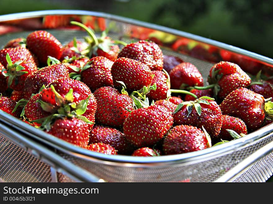 Basket of fresh, juicy strawberries. Basket of fresh, juicy strawberries