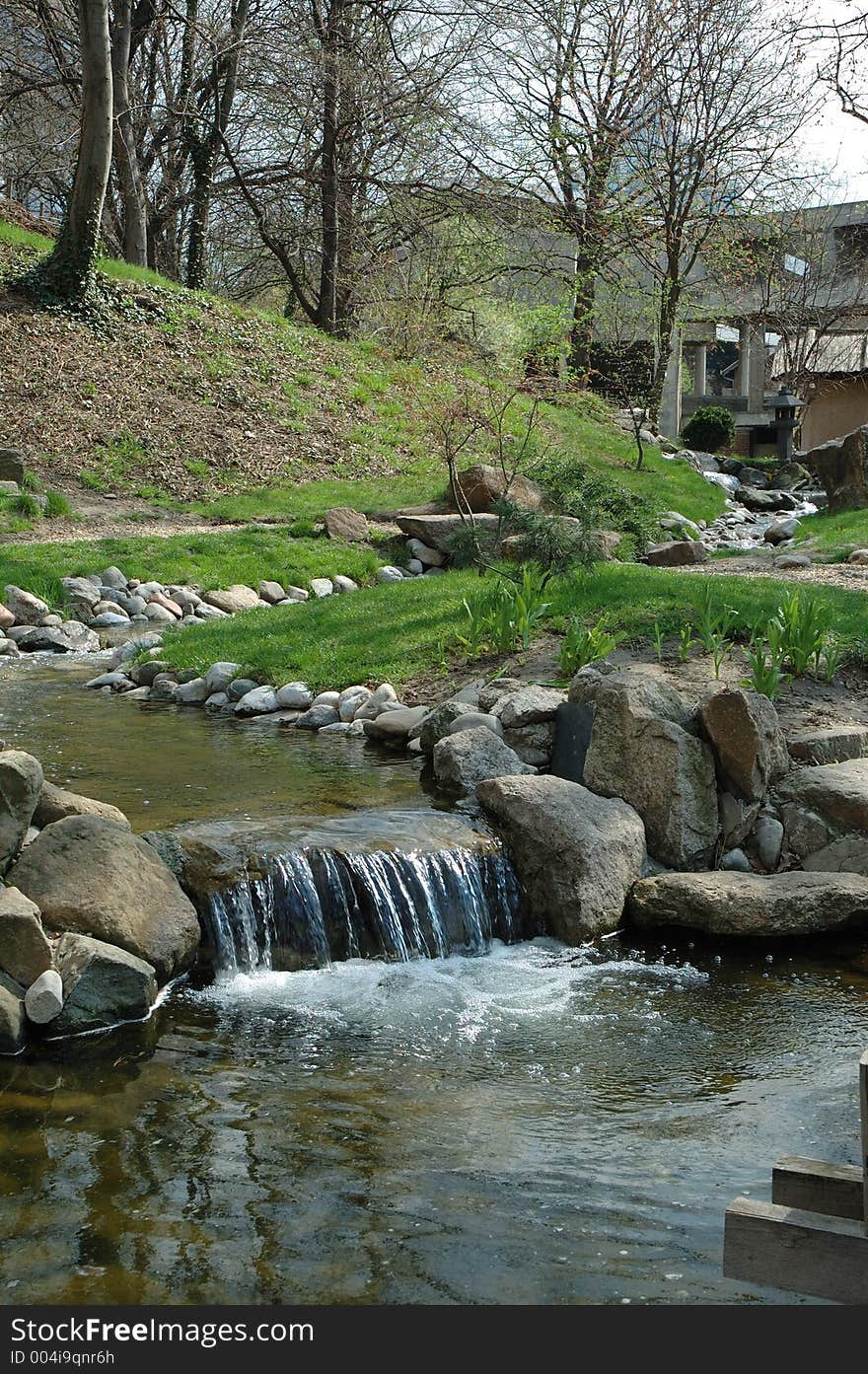 River in forest