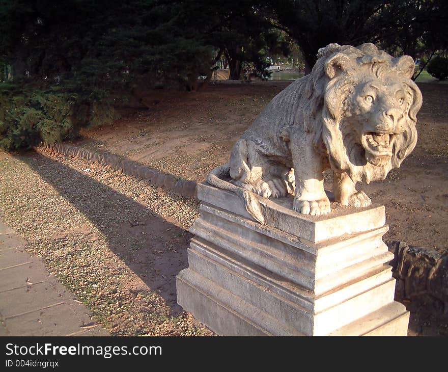 Frozen frightened lion. Frozen frightened lion