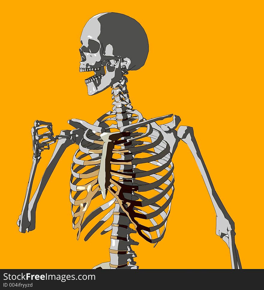 This is a skeleton in a pose. This is a skeleton in a pose