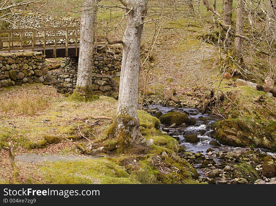 Brook run trhrough woodland, under a bridge and over moss covered rocks. Brook run trhrough woodland, under a bridge and over moss covered rocks