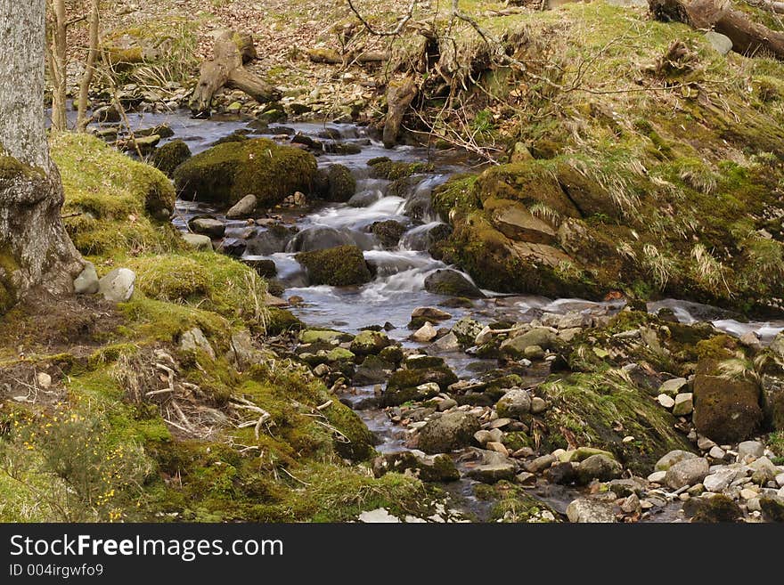 Mountain stream with motion blurred water