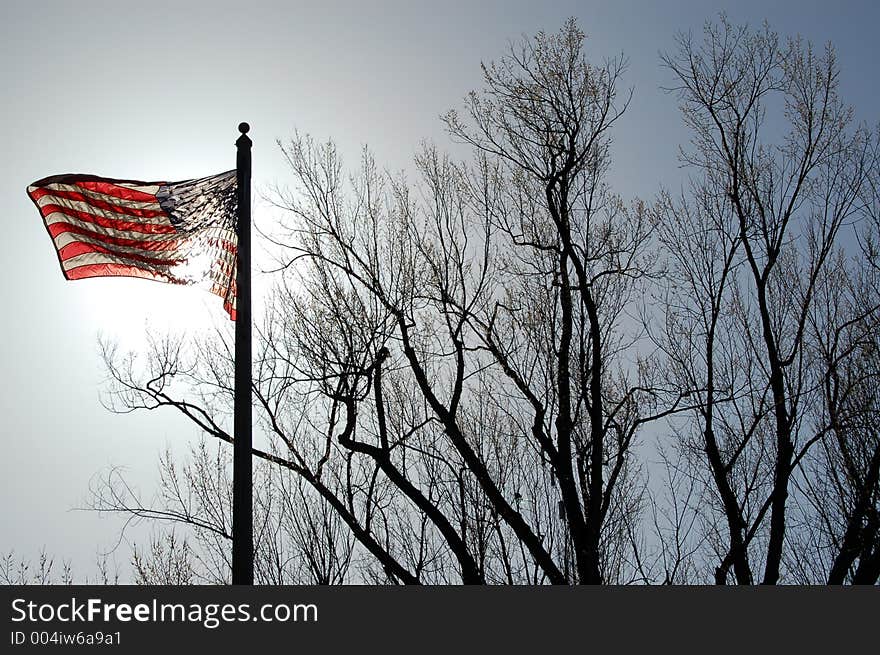 American flag backlit with the sun against winter trees. American flag backlit with the sun against winter trees.