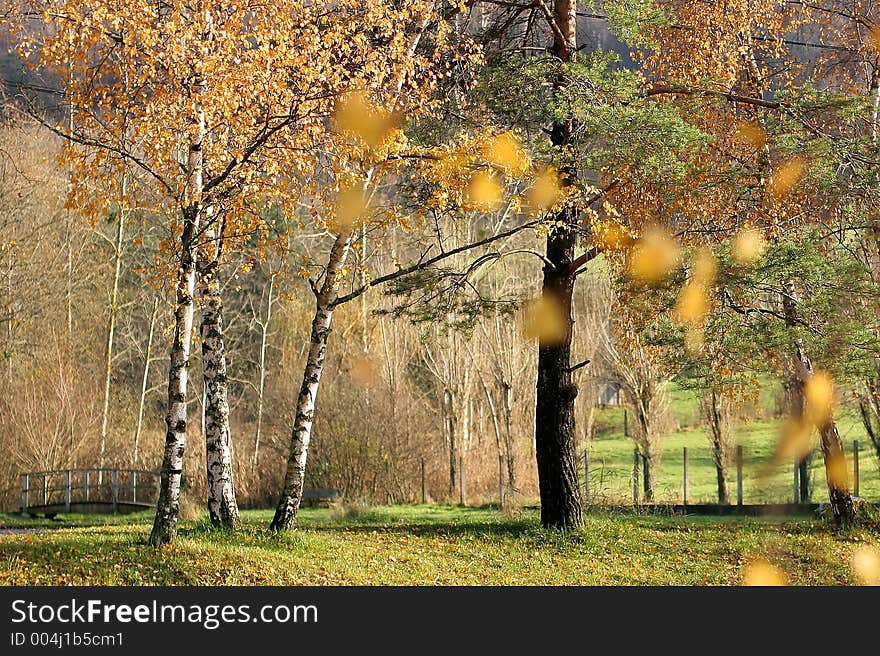 Alsacian Landscape