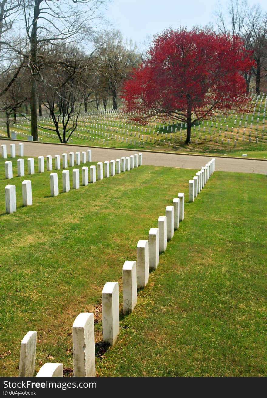 Arlington National Cemetery