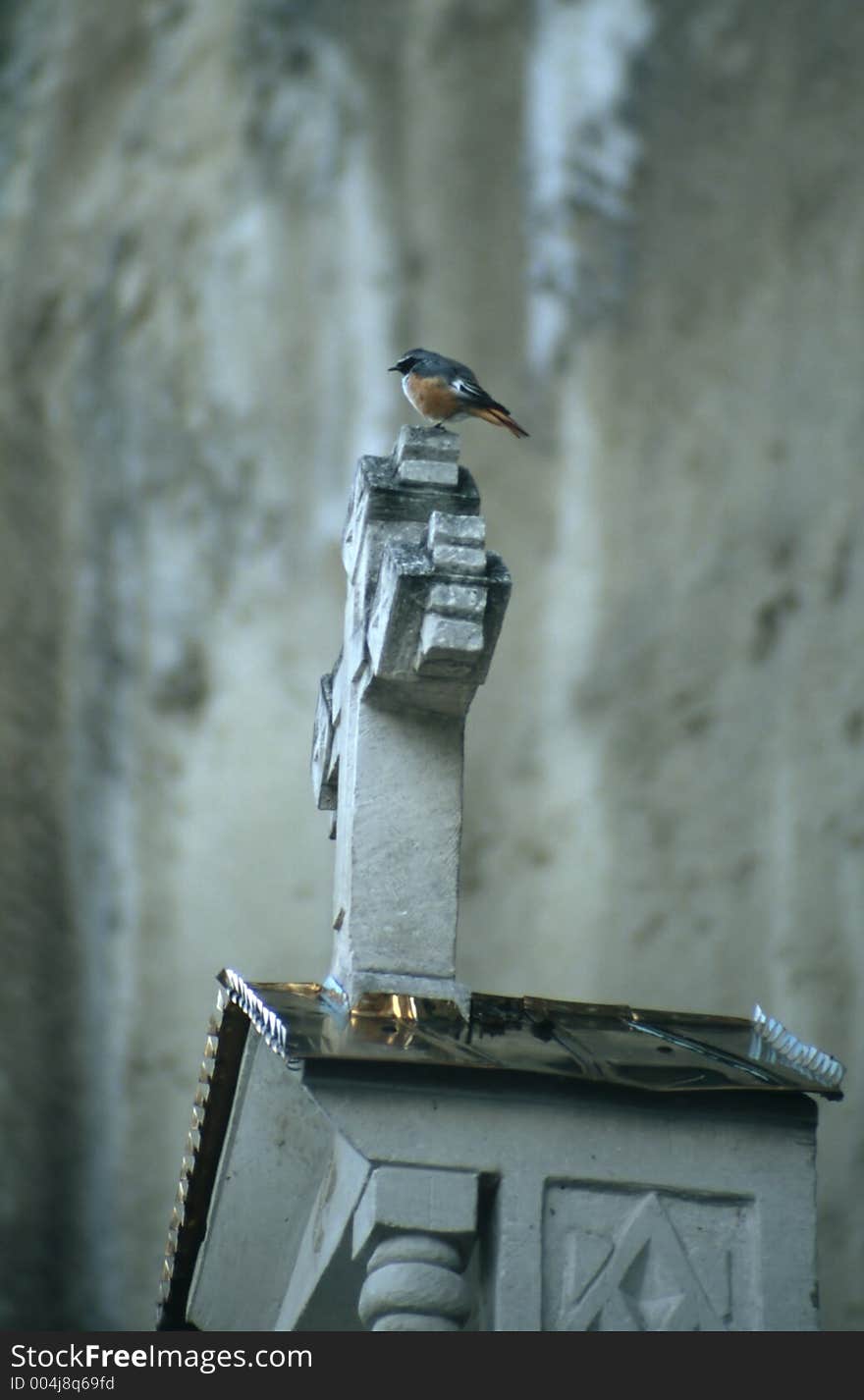 Bird on the cross in Ukrainian mountains. Bird on the cross in Ukrainian mountains