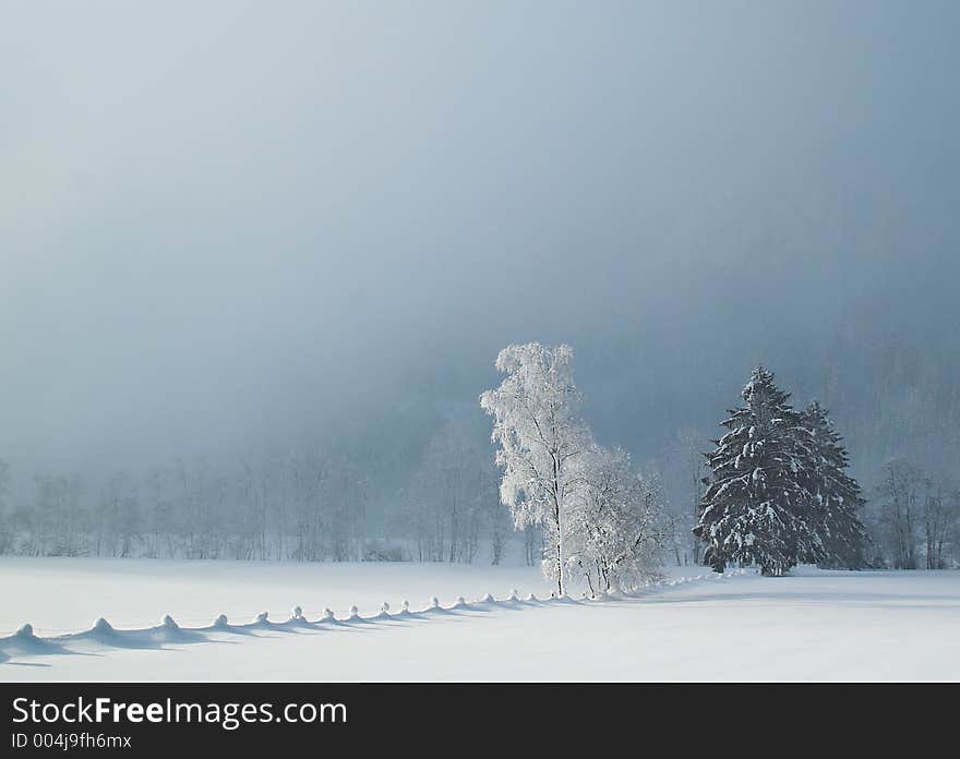 Winter in Bavarian Alps