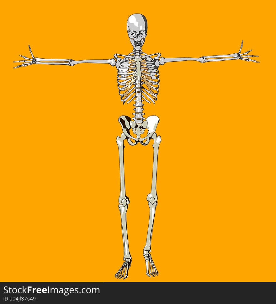 This a skeleton in a pose. This a skeleton in a pose.