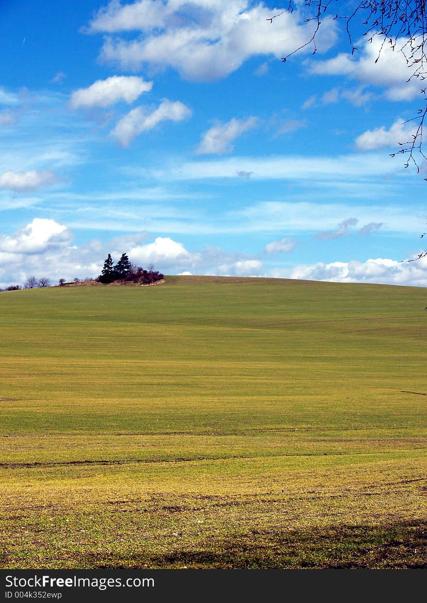 Country scene