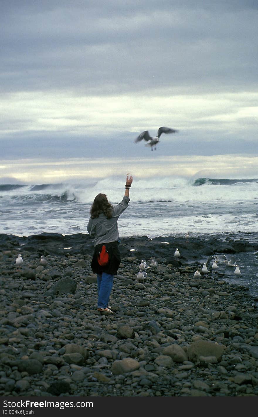 Female feeding seagull. Female feeding seagull