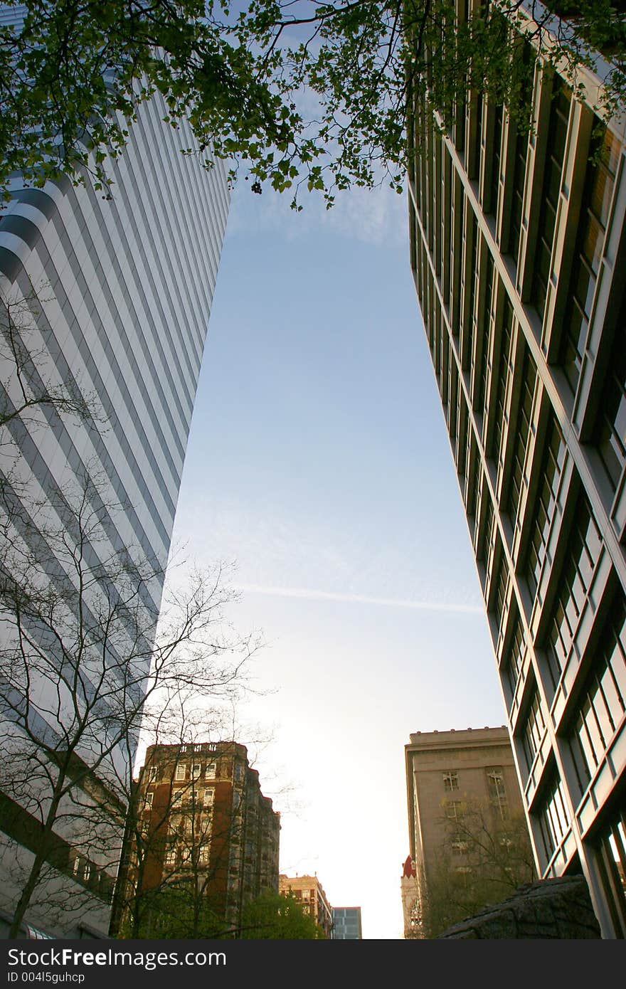 Skyscrapers framing blank blue sky. Skyscrapers framing blank blue sky.