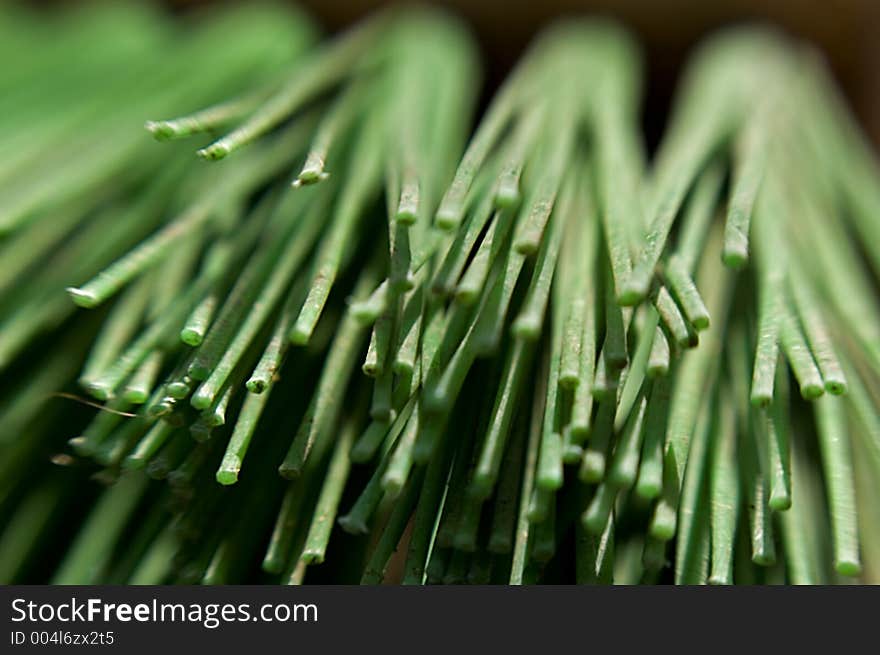 Abstract Broom Bristles