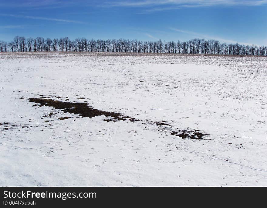 Winter field against blue sky. Winter field against blue sky