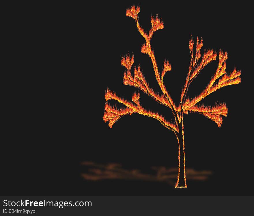 Tree In Fire