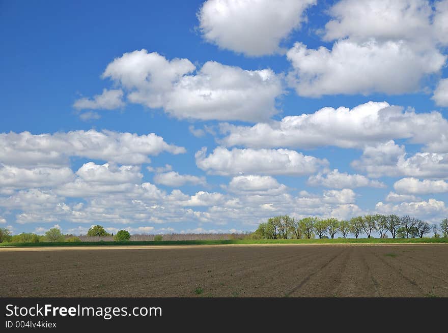 Agricultural field in springtime. Agricultural field in springtime