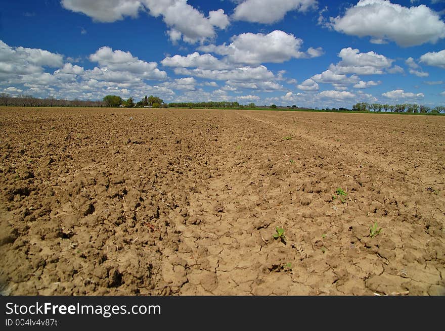 Agricultural field in springtime. Agricultural field in springtime