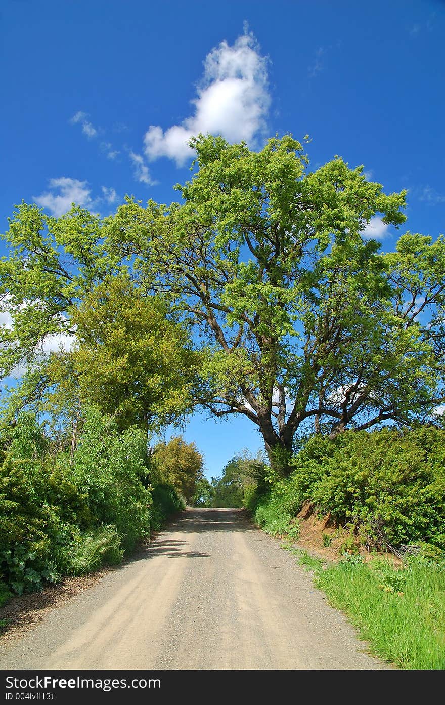 Road in the Country. Road in the Country