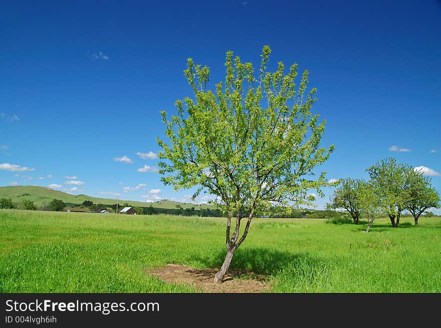 Rural countryside